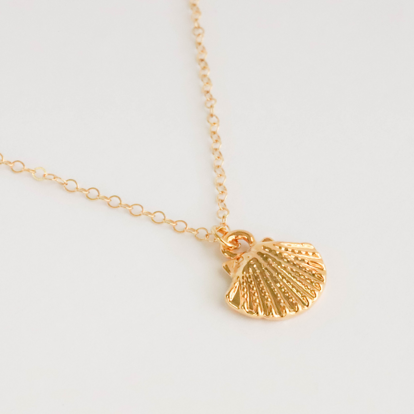 Seashell Necklace